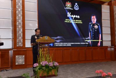 YDH IG Tan Sri Razarudin bin Husain, Ketua Polis Negara